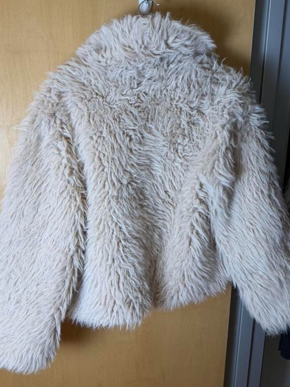 Plush Teddy Jacket in Beige - Women's Cozy Faux Fur Coat - Picture 6 of 6